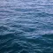 浏览器301重定向响应流程分析